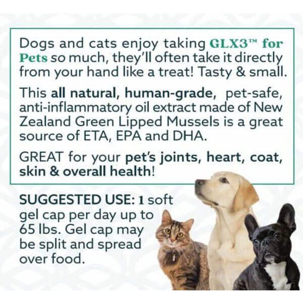 GLX3 Mussel Oil For Dogs - Pet Safe Hip & Joint Support*
