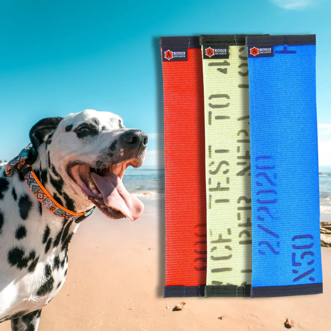 Recycled Fire Hose Dog Fetch Toy - Regular