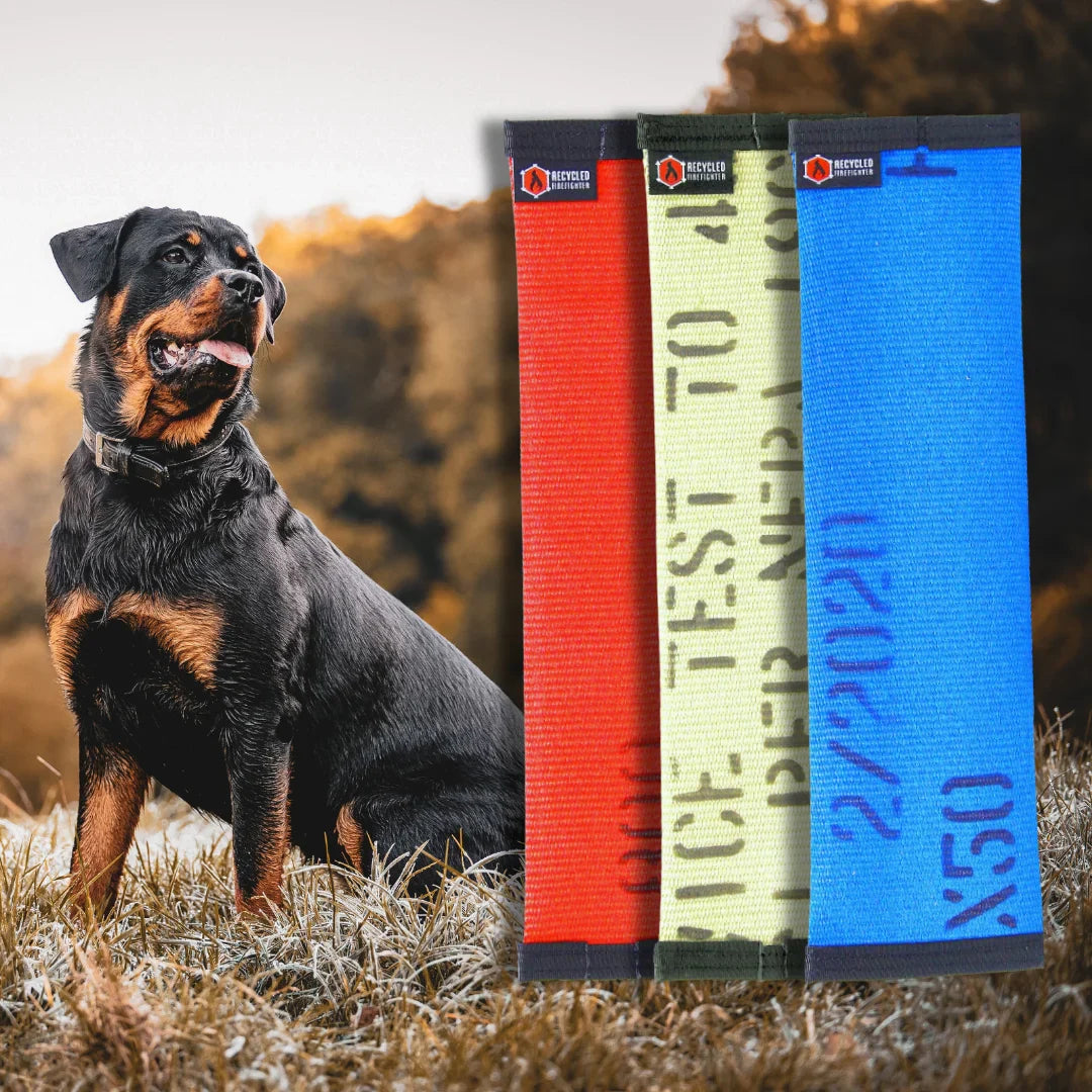 Recycled Fire Hose Dog Fetch Toy - Regular