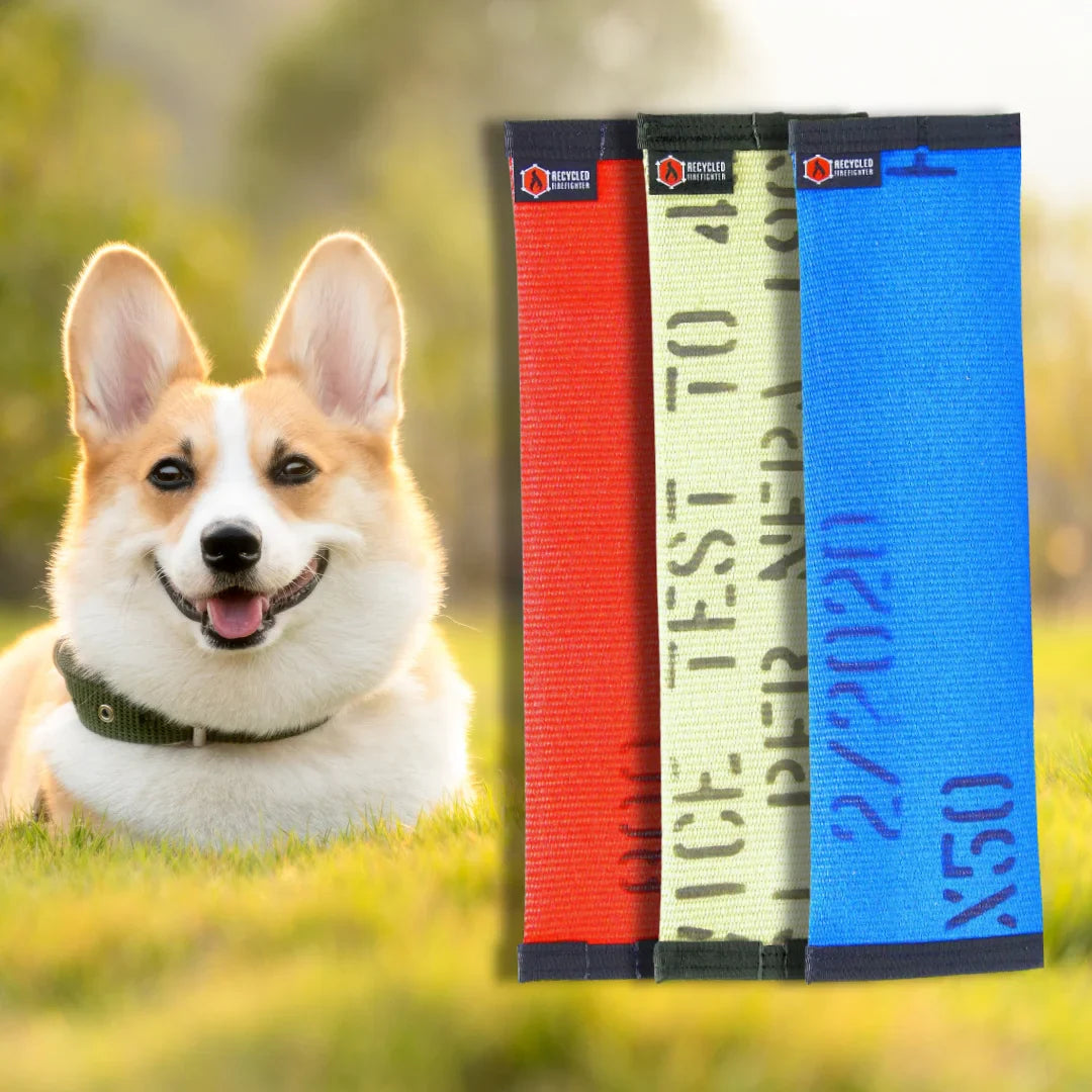 Recycled Fire Hose Dog Fetch Toy - Regular