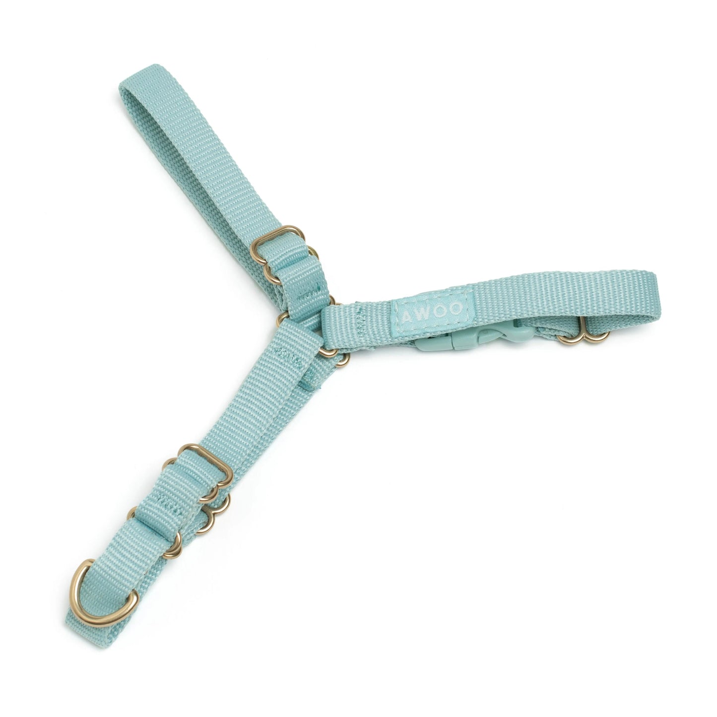 Roam Harness